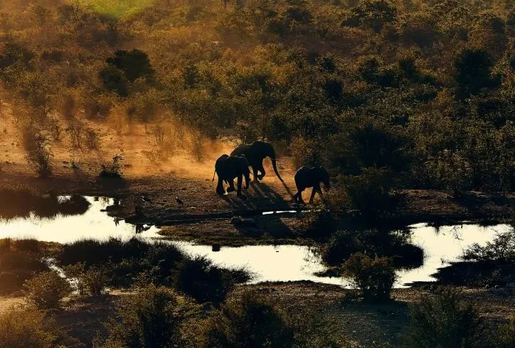 imgi_51_tatenda-mapigoti-_RpPNXm5WZo-unsplash_0