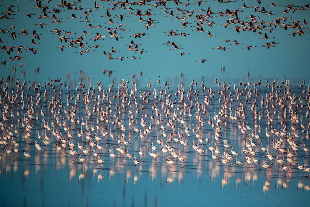 Botswana – Tuludi Camp