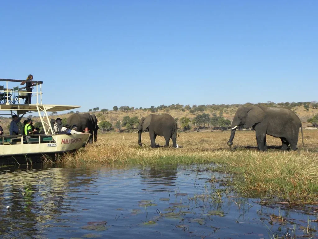 Overland - Namibia Botswana Desert & Delta