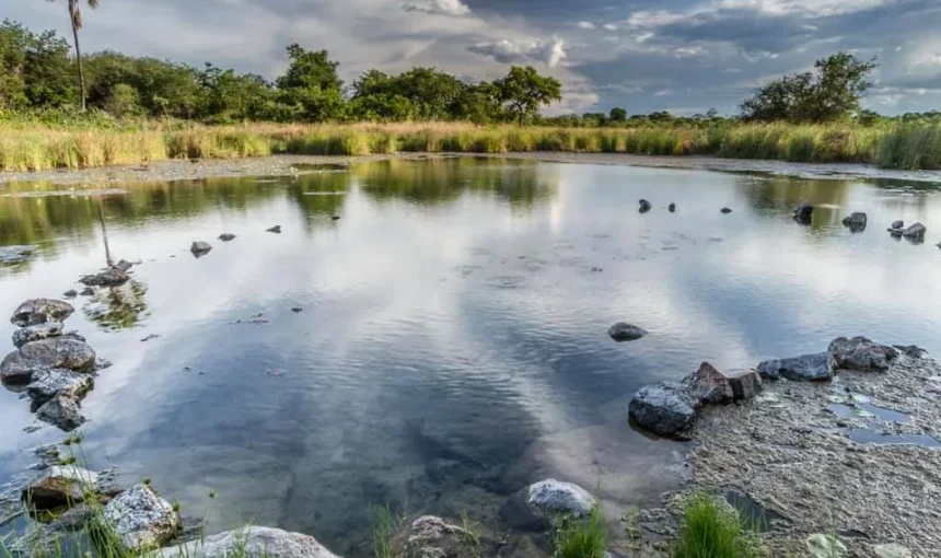 Zambia – Kafue National Park