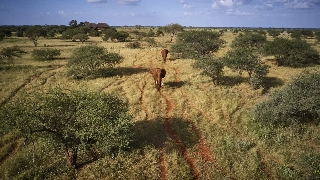 Kenya : Tour in Treno da Mombasa
