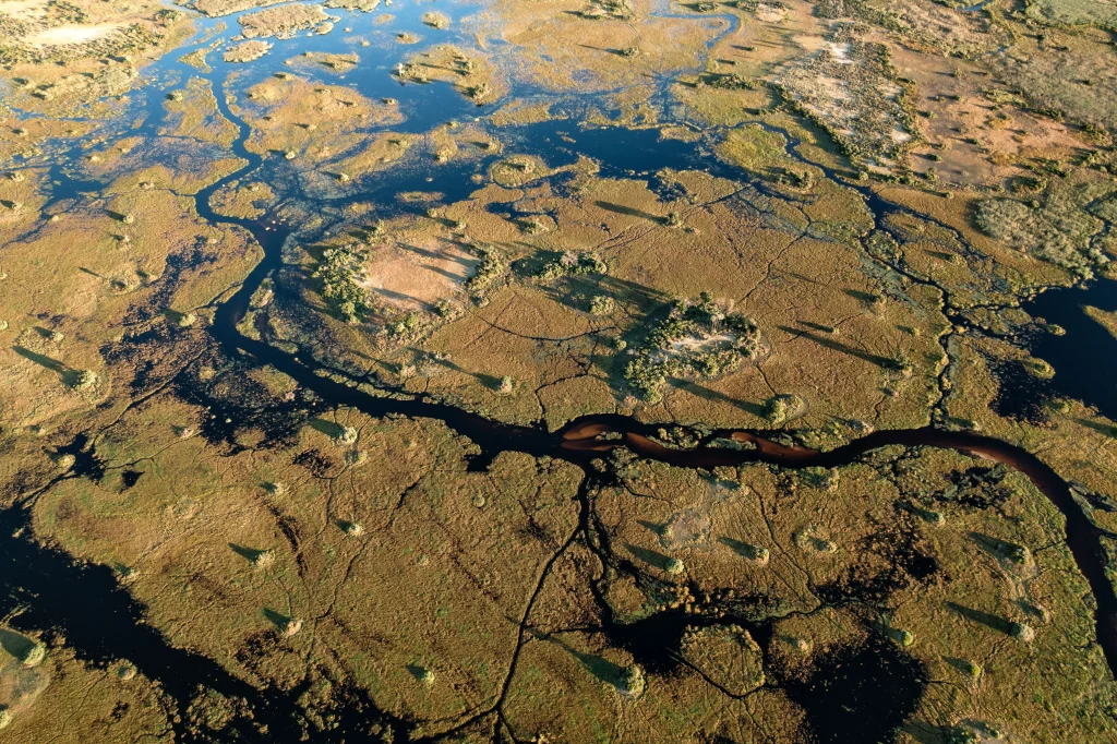 Botswana – Duke's Camp