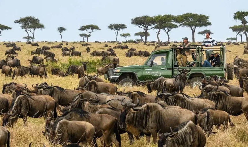 Masai Mara e non solo – Safari Etiquette