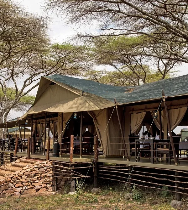 Ole Serai Luxury Camp Turner Springs