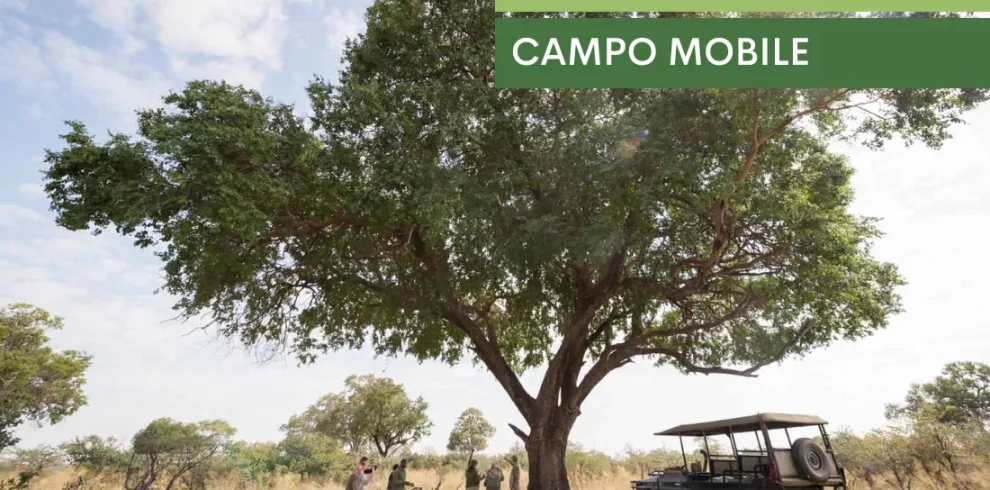 Botswana Glamping Mobile Safari