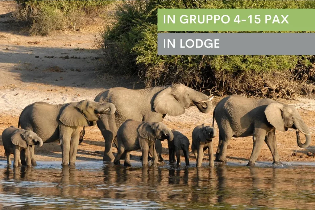 Botswana: Wildlife Lodge Safari