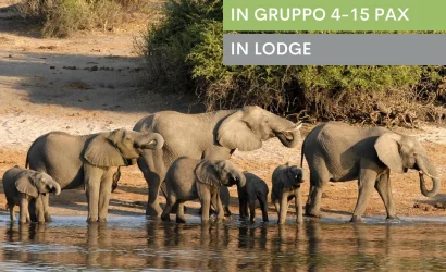 Botswana: Wildlife Lodge Safari