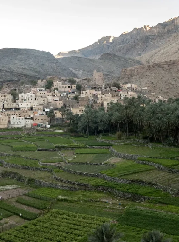 Oman - Dal deserto alle montagne