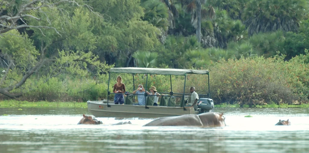 Tanzania - I parchi del sud