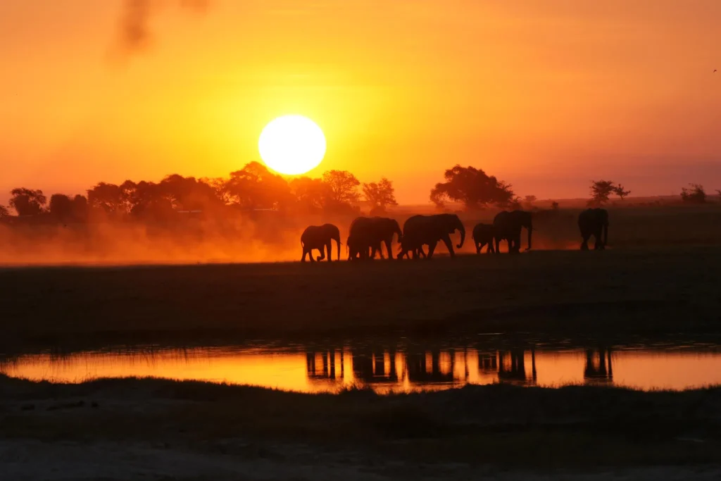 Botswana Discovery - Lodge Safari