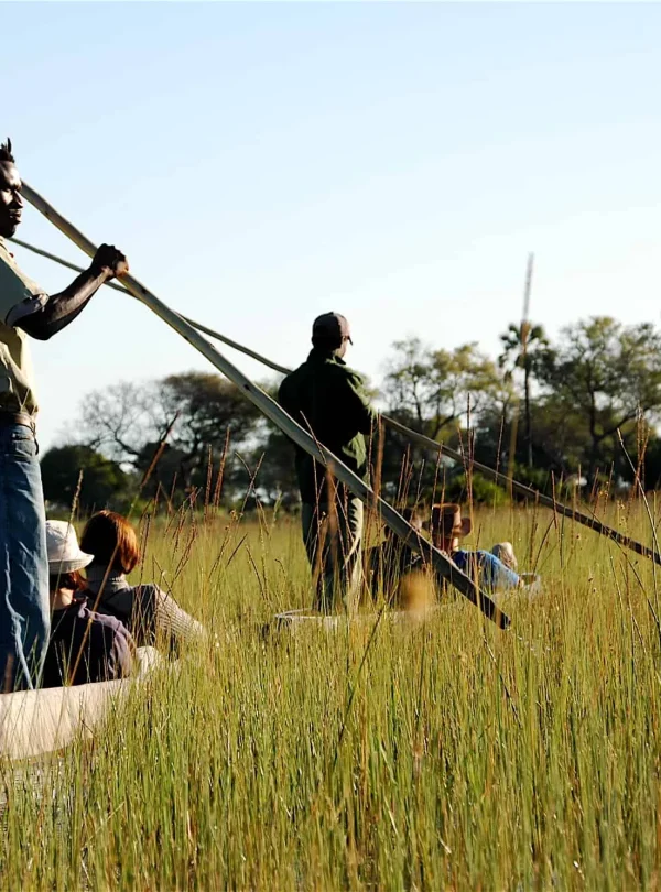 Overland - Botswana Wildside
