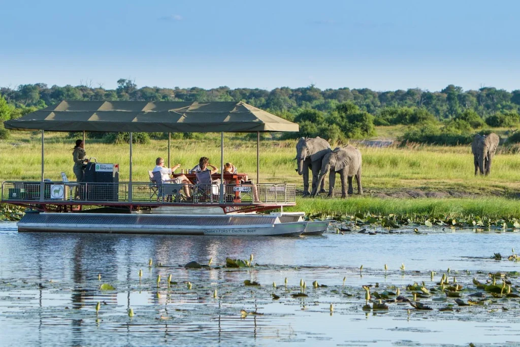 Botswana - Desert & Delta Classic - Lodge safari