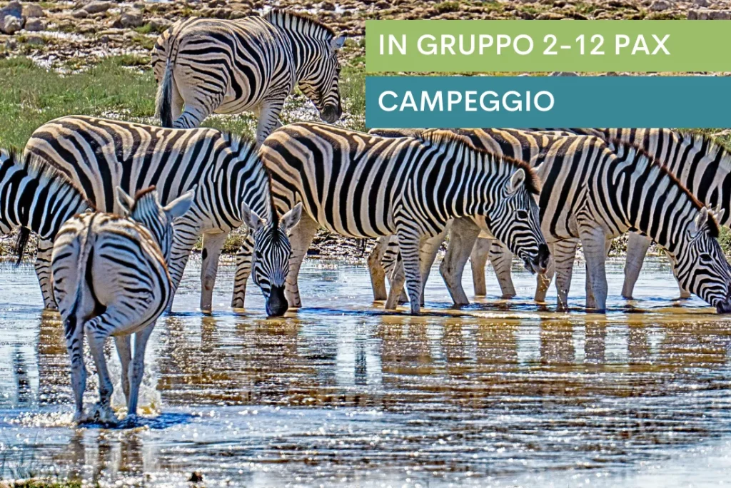 Overland - Da Città del Capo alle Cascate Vittoria