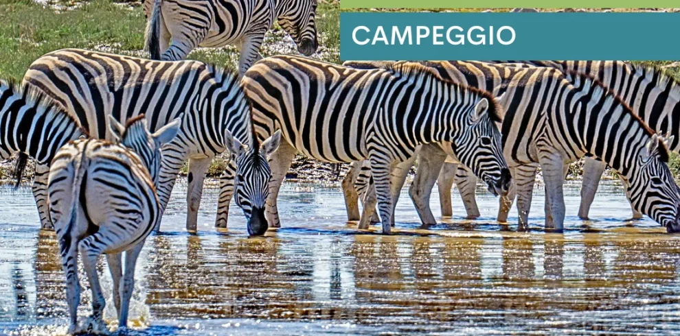 Overland - Da Città del Capo alle Cascate Vittoria