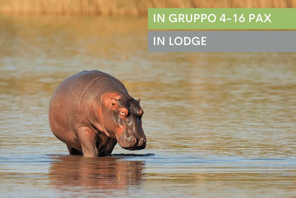 Botswana – Delta & Wildlife Adventure