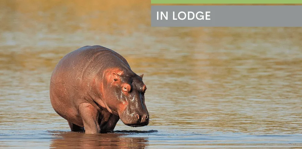 Botswana – Delta & Wildlife Adventure