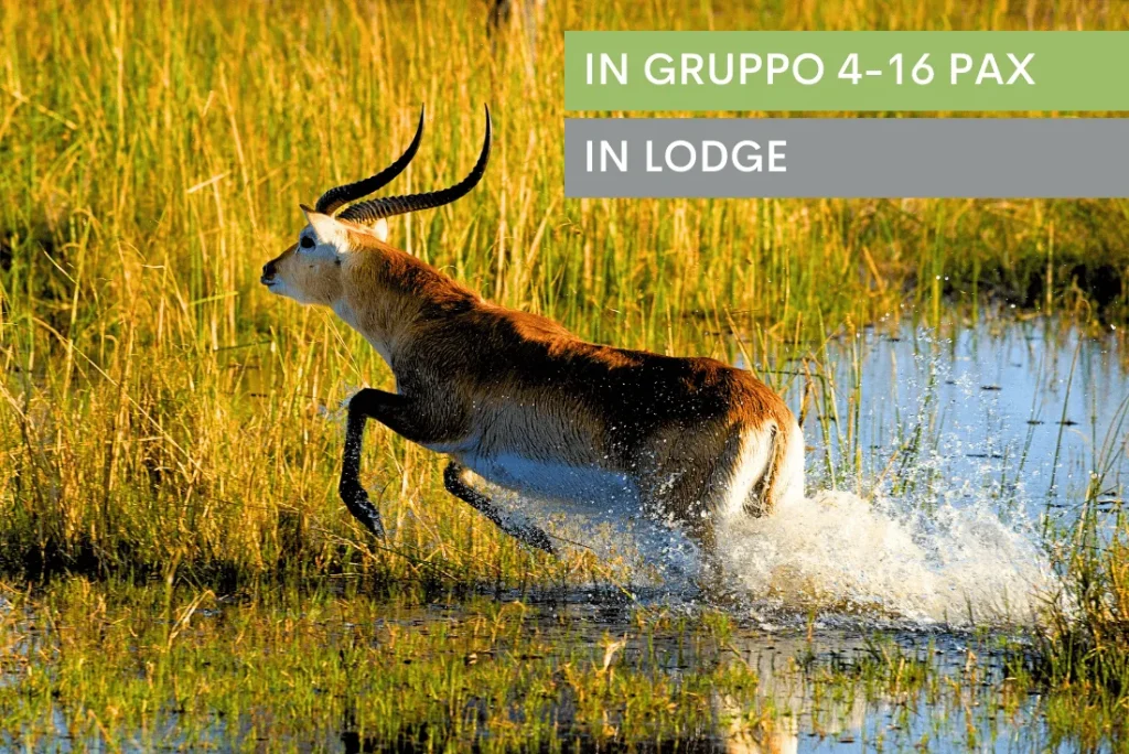 Desert Rivers & Wildlife Adventure