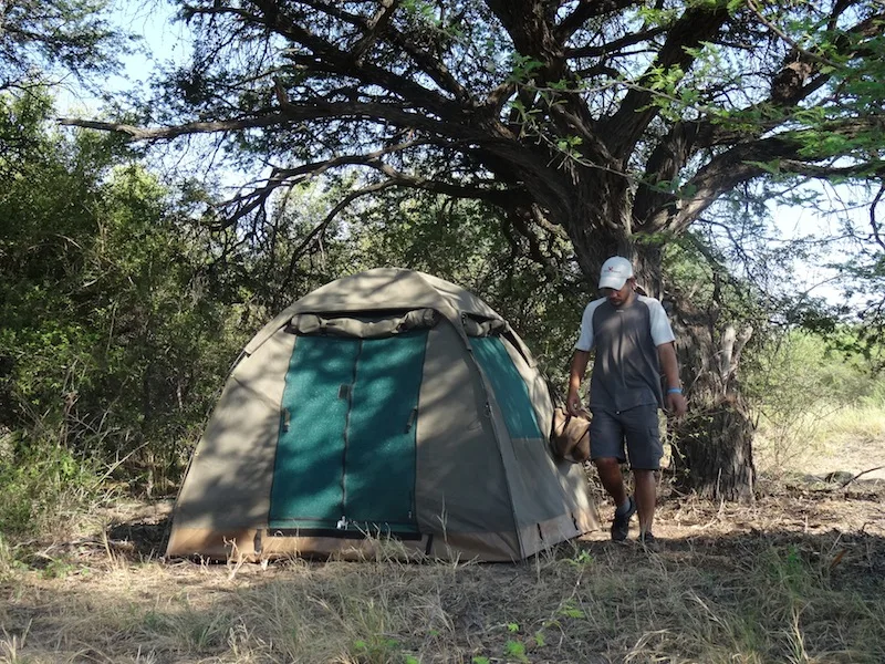 Botswana - Lion Safari - Camping Safari