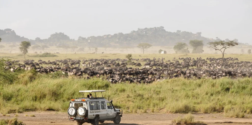 Kenya : Tour in Treno da Mombasa