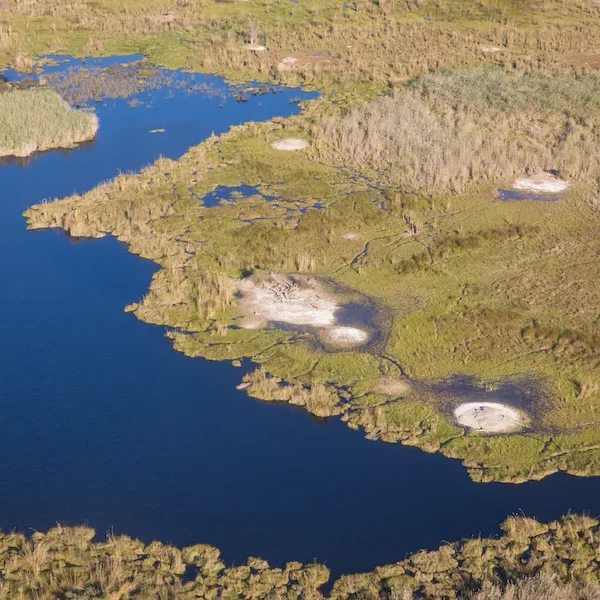 Botswana - Lion Safari - Camping Safari