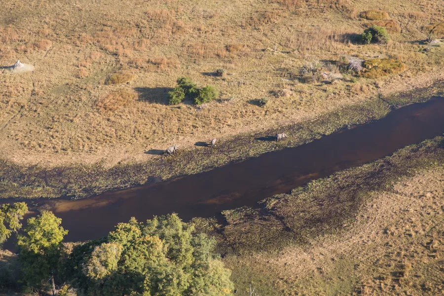 Botswana - Leopard Safari - Camping Safari