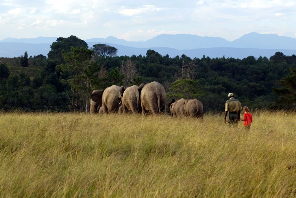 Sud Africa - Self drive Garden Route