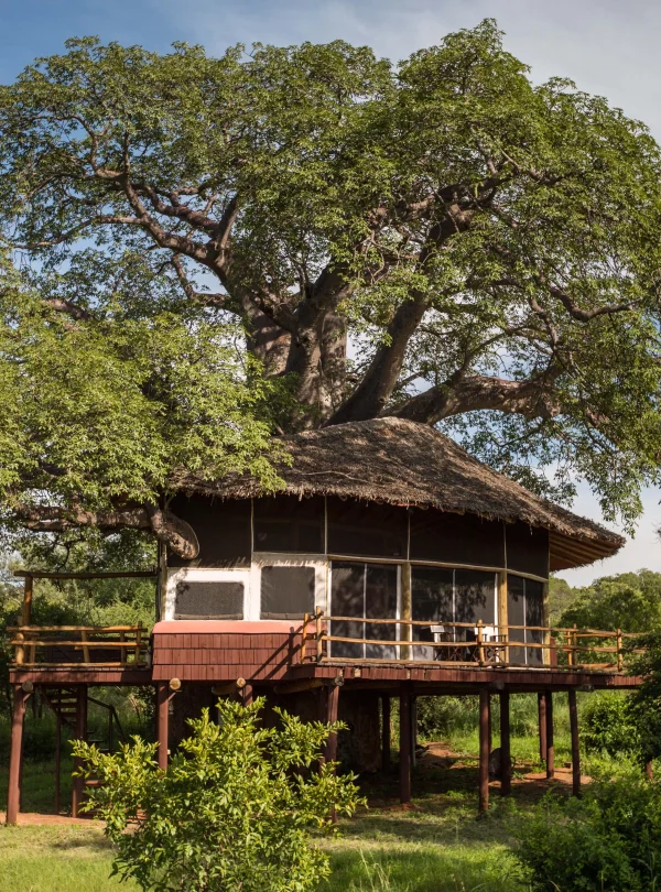 Tanzania deluxe - Elewana collection