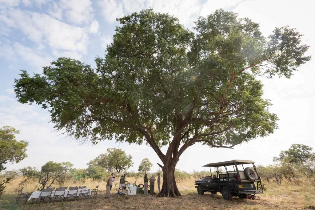 Botswana Glamping Mobile Safari