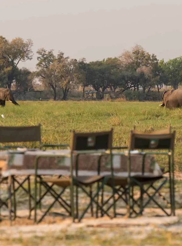 Botswana Glamping Mobile Safari