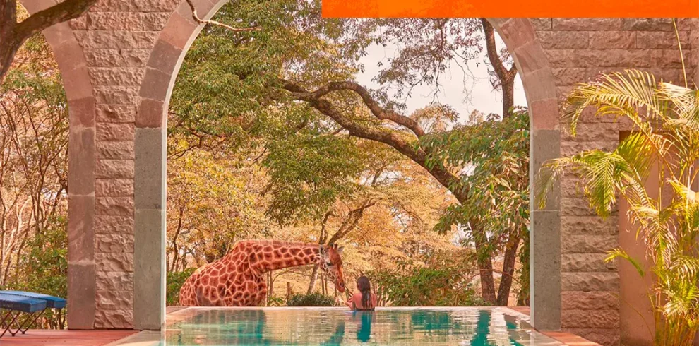 Kenya – Nairobi – Giraffe Manor Boutique Hotel