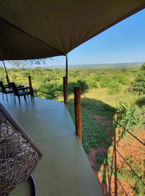 Tarangire Kuru Treetops Lodge