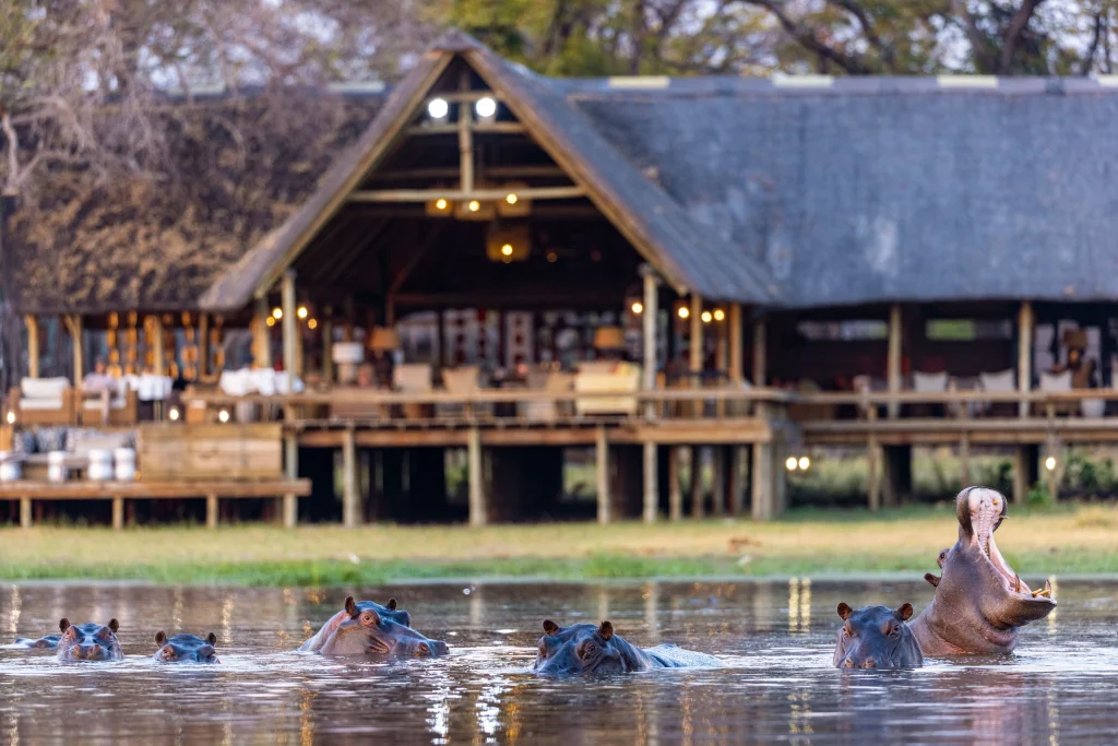 Botswana – Sable Alley Camp