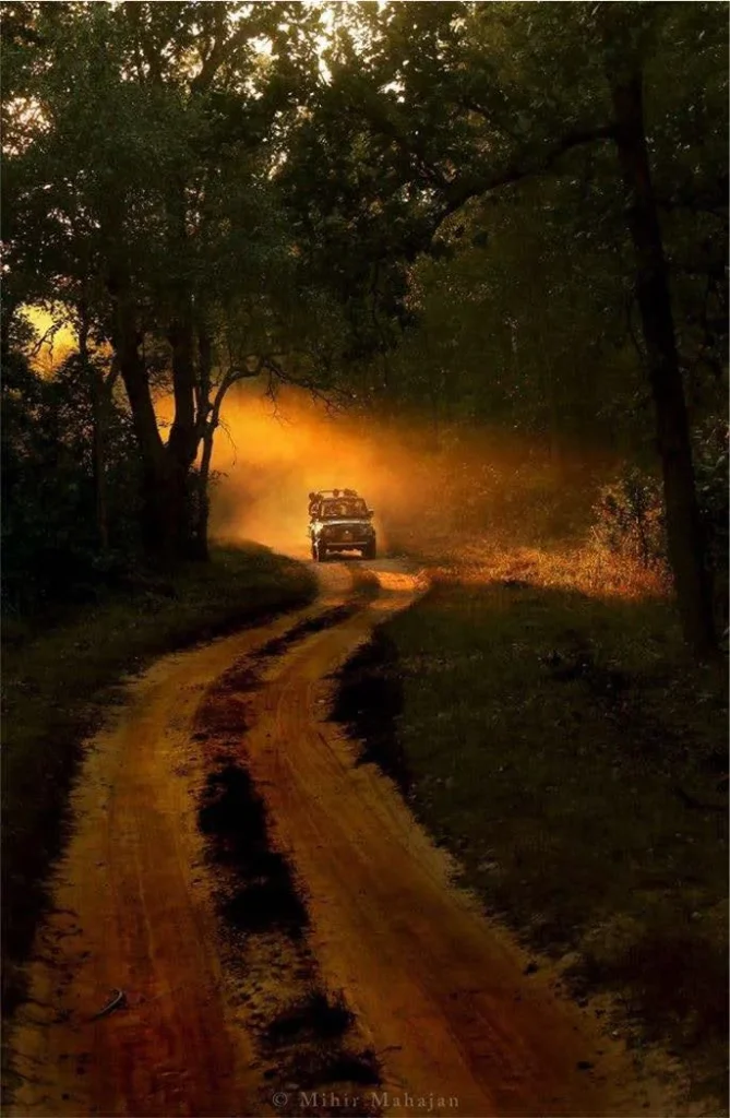 India - Nel regno della tigre