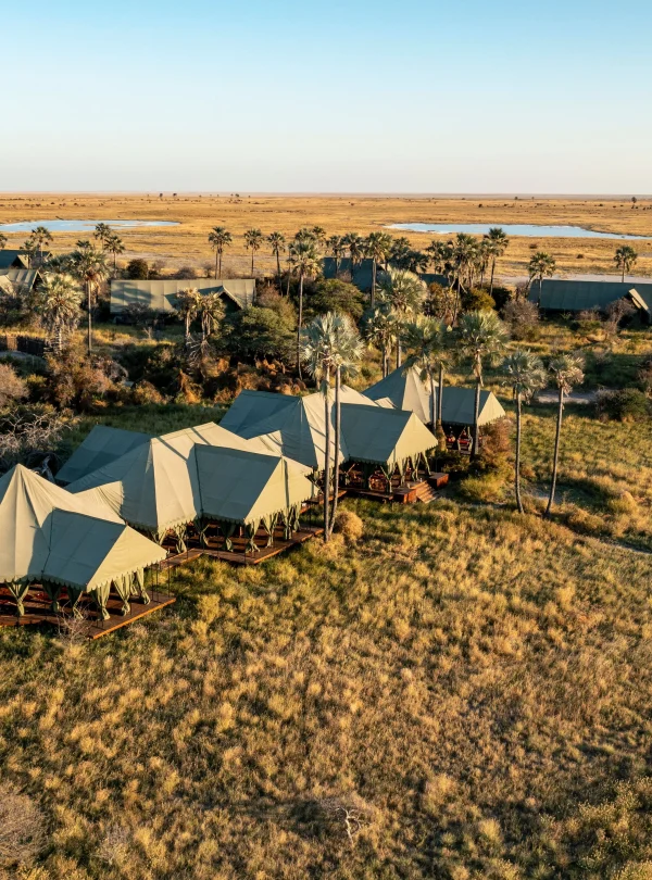 Botswana – Jack's Camp
