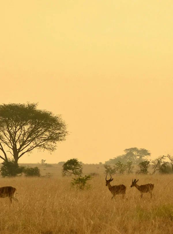 South Africa Rainbow Route