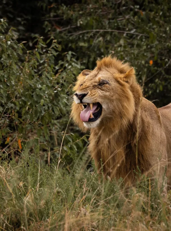 South Africa Rainbow Route