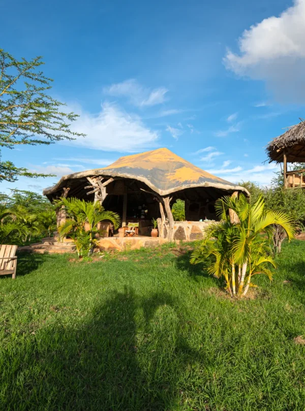 Kenya: Sulle tracce del Leopardo Nero