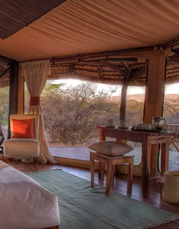 Kenya - Lewa Safari Camp