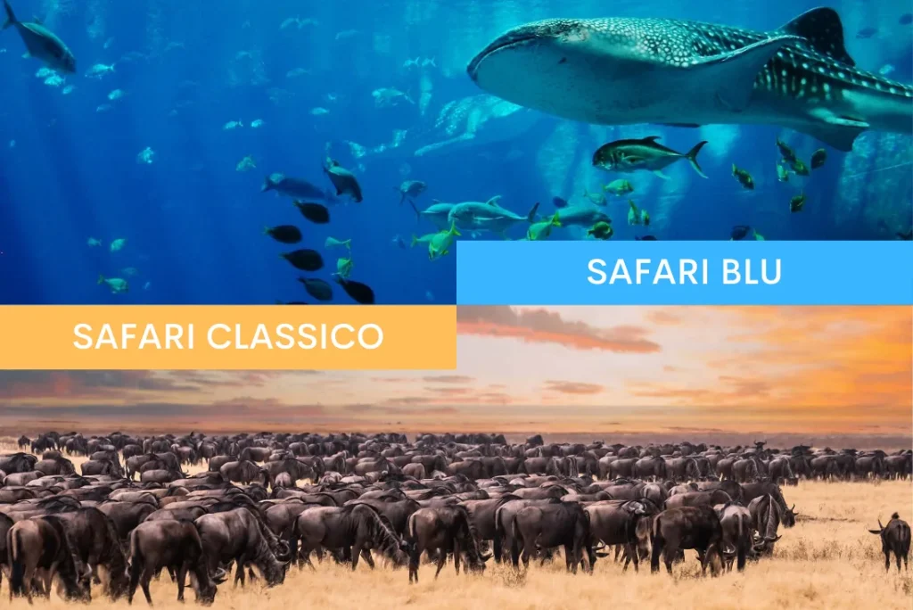 Tanzania e Mafia Island - Safari Essence e mare