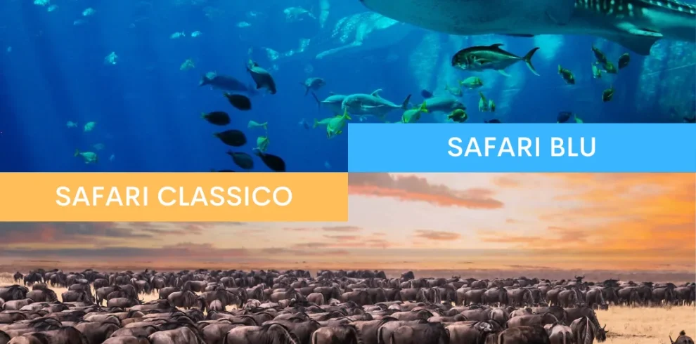 Tanzania e Mafia Island - Safari Essence e mare