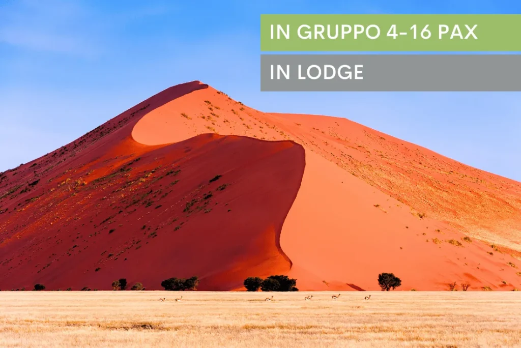 Meravigliosa Namibia