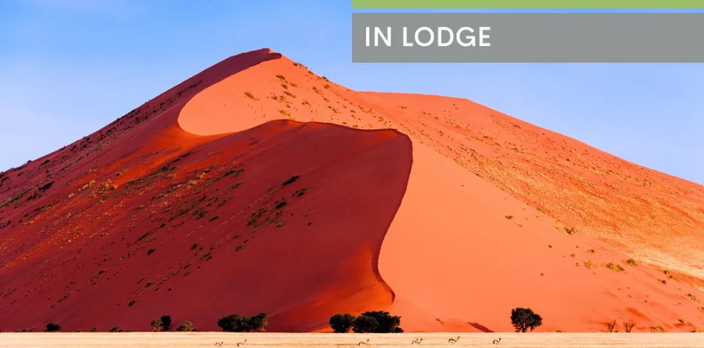 Meravigliosa Namibia