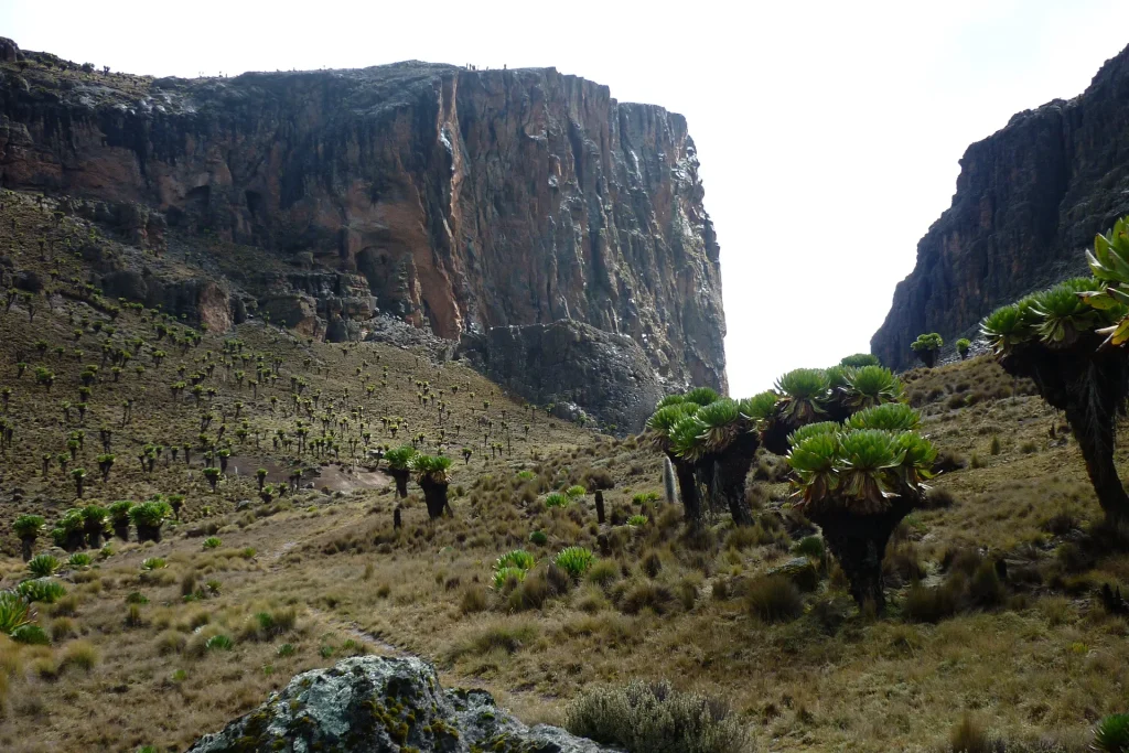 Trekking sul monte Kenya