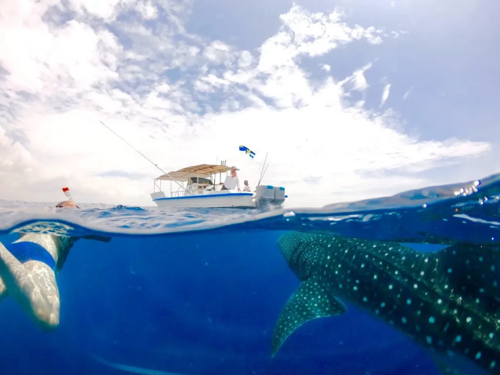 Kenya - Diani Beach - Msambweni Beach House