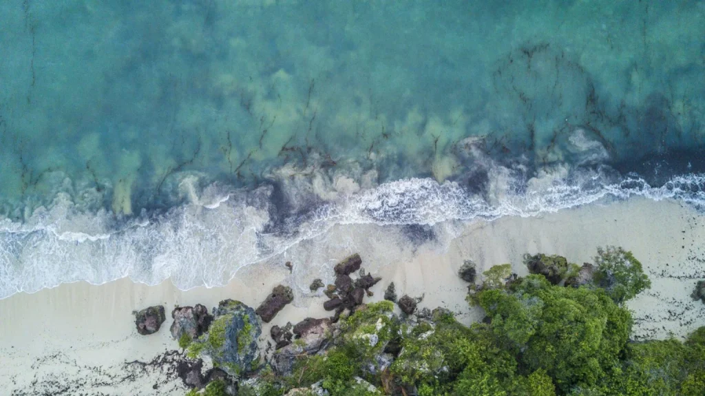 Kenya - Diani Beach - Msambweni Beach House