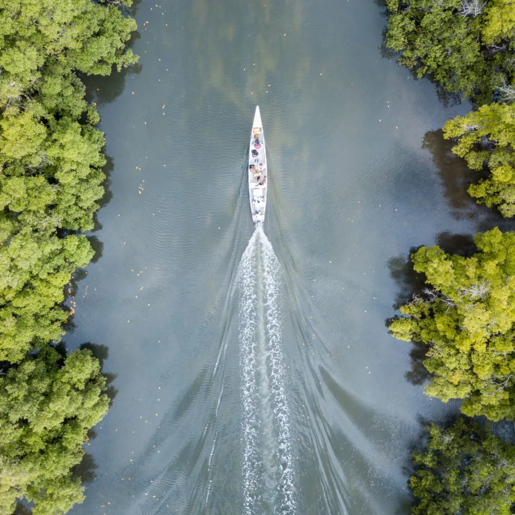 Kenya - Diani Beach - Msambweni Beach House