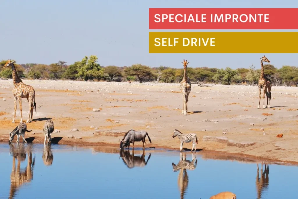 Namibia camping self drive