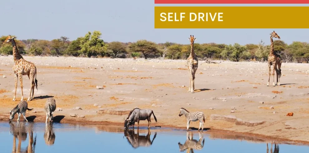 Namibia camping self drive