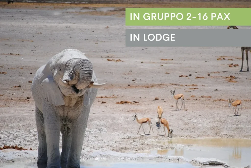 Namibia - Himba e deserti