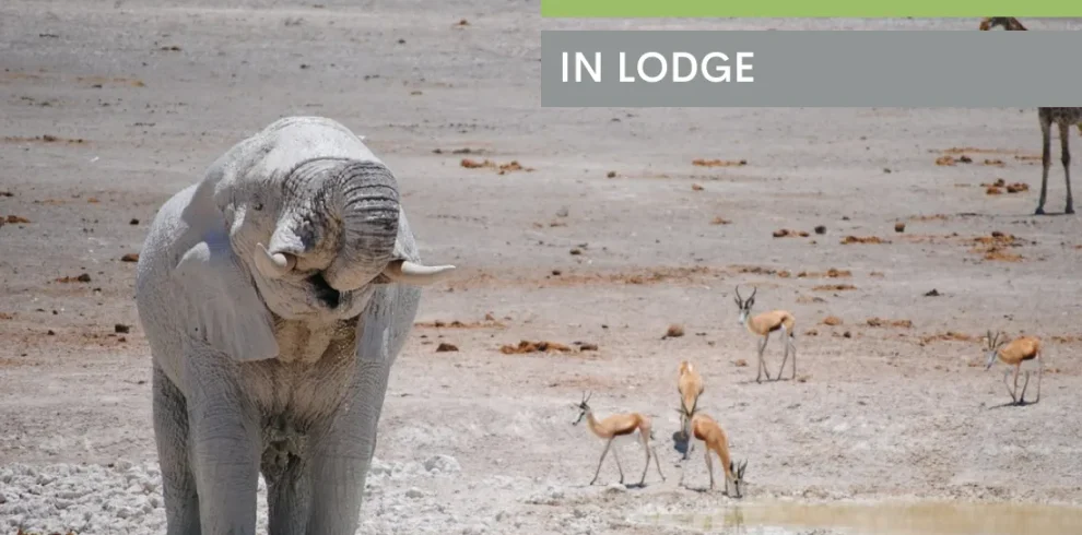 Namibia - Himba e deserti